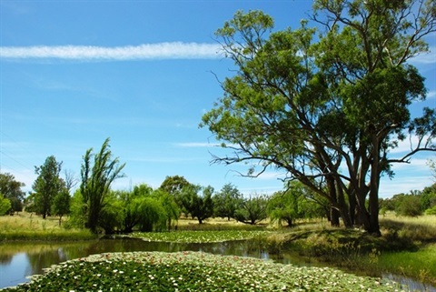 Burrumbuttock.jpeg