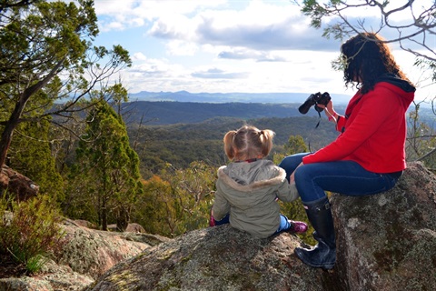 PL Hanels Lookout, GLenys Baxter July 2015  (17).jpg