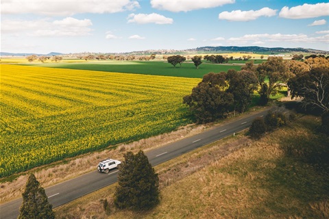 DJI_0579.jpg