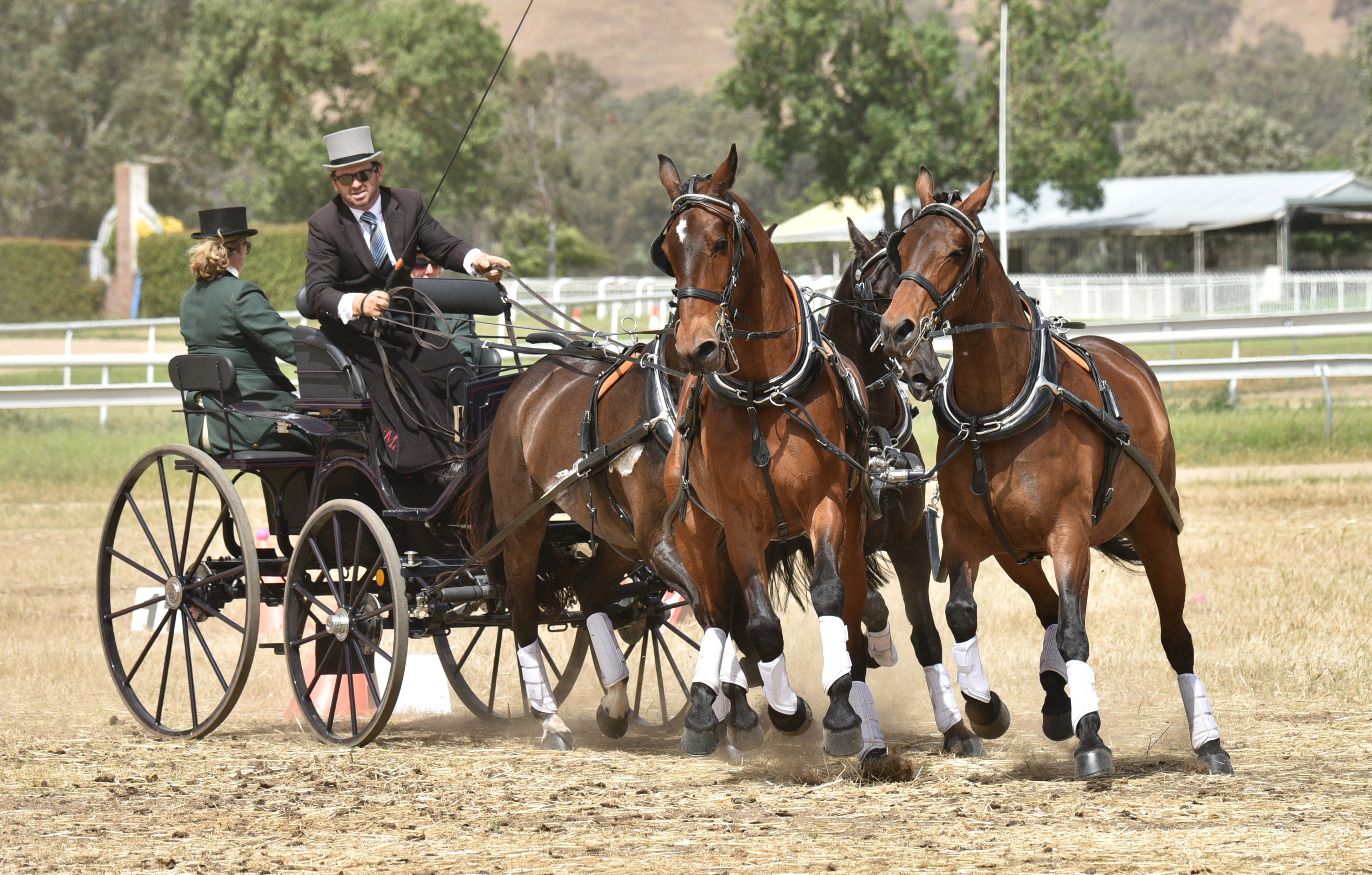 DSC_3354-2-No-24-Byron-McIntyre-Horse-Team.jpg