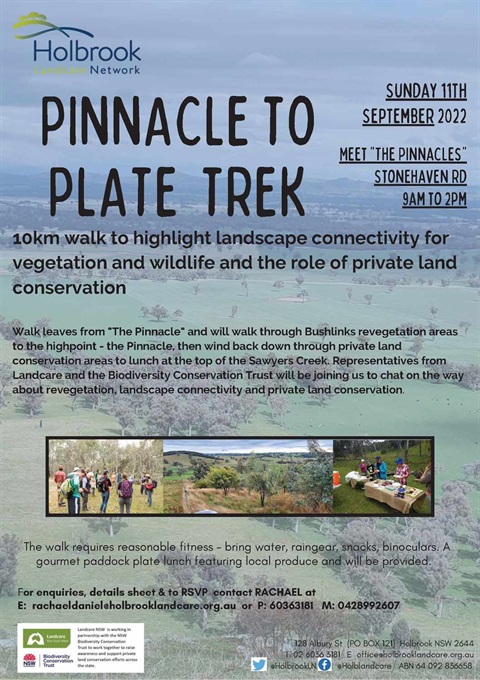 PinnacletoPlate-Walk.jpg