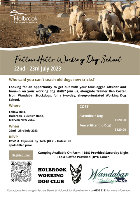 Working-Dog-School.png