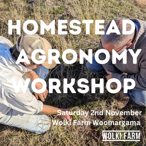 Homestead-Agronomy.jpg