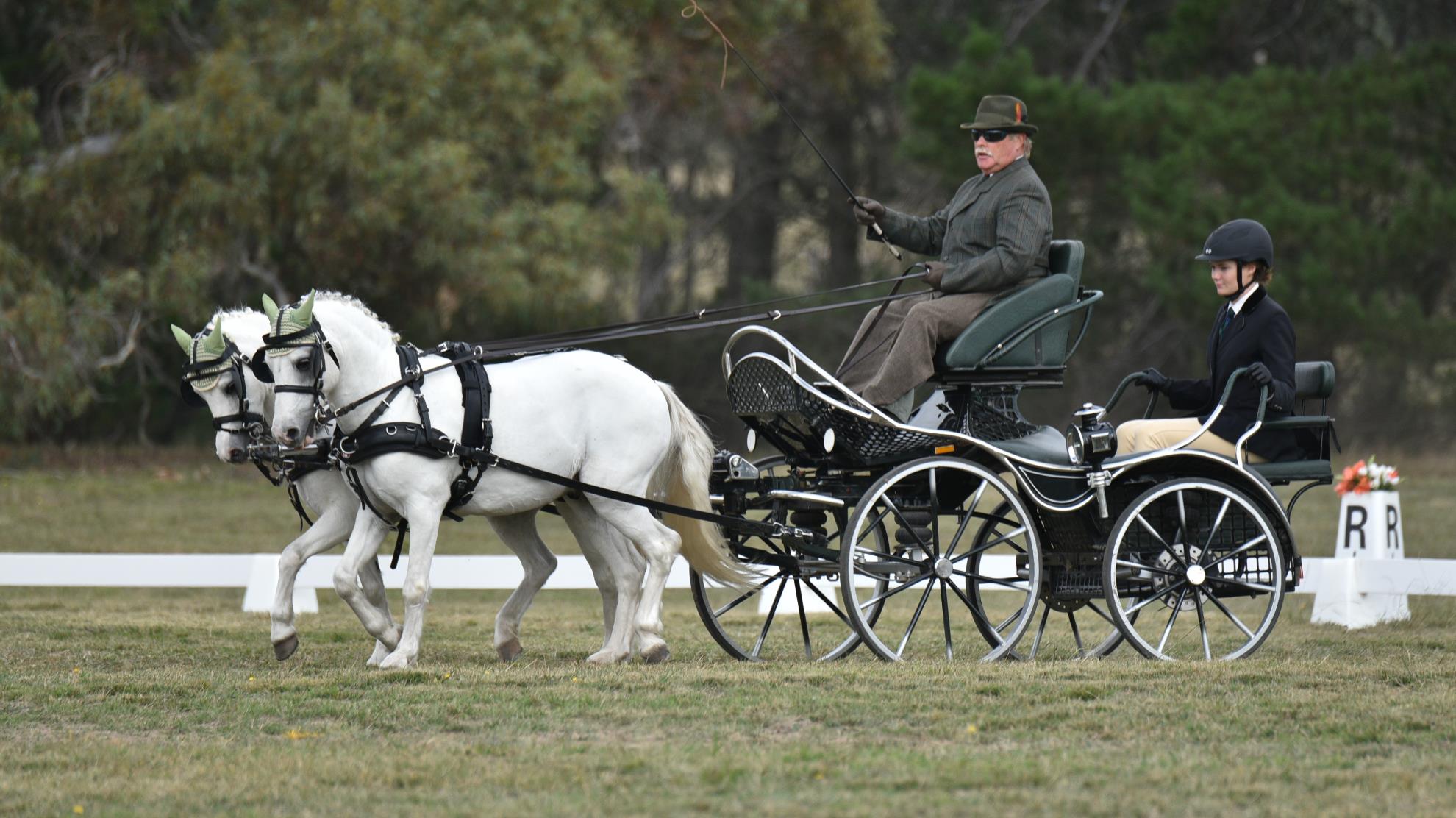 DSC_2753-2-Phill-Marshall-Pepper-Ripplebrook-Meg.jpg