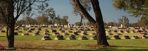 Holbrook General Cemetery 2008.jpg